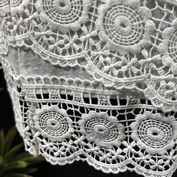 Cupio Blush Crocheted lace look double hemline,butterfly short sleeve,scoop neck - Picture 5 of 10